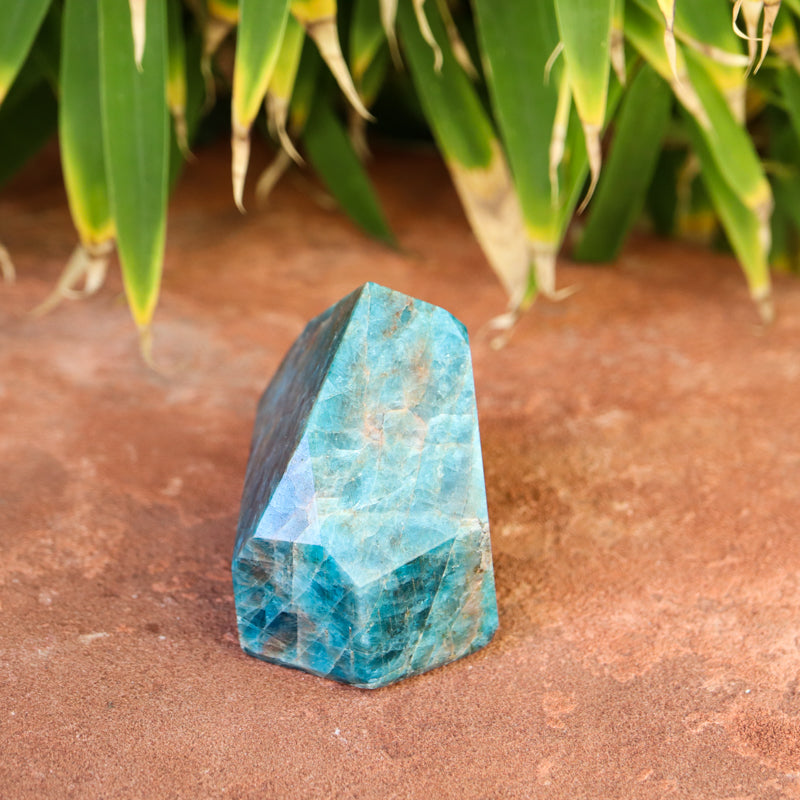 Blue Apatite Point Crystal Point Crystal Magic