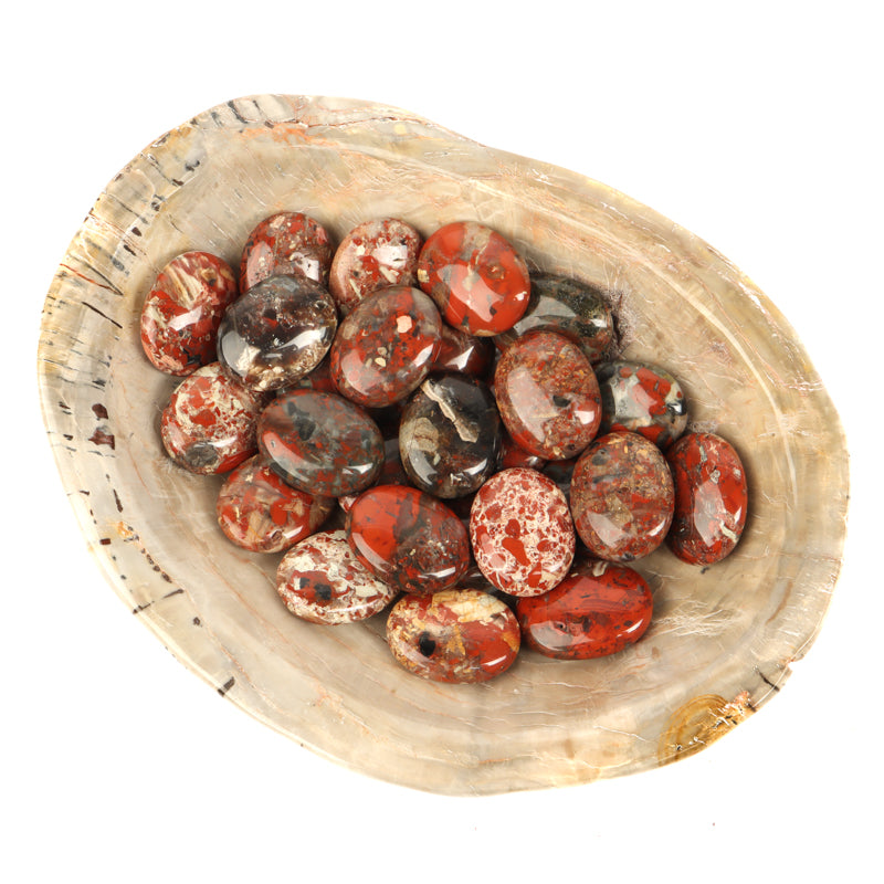 Brecciated Jasper Palm Stone Crystal Palm Stones Aries
