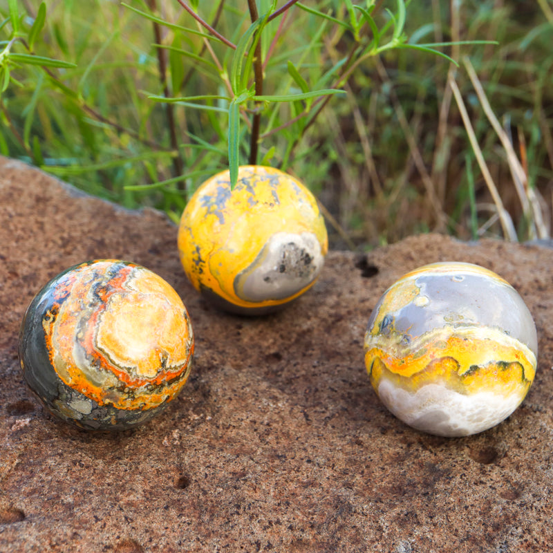 Bumblebee Jasper Sphere Crystal Sphere Cancer Sign