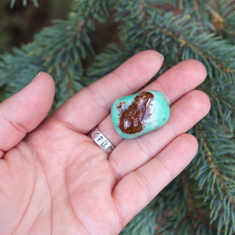 Chrysoprase Tumbled Crystal Tumbled Crystal Magic