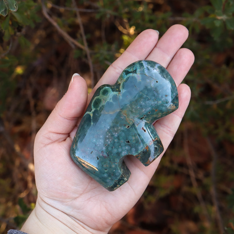 Capricorn Sign Bundle