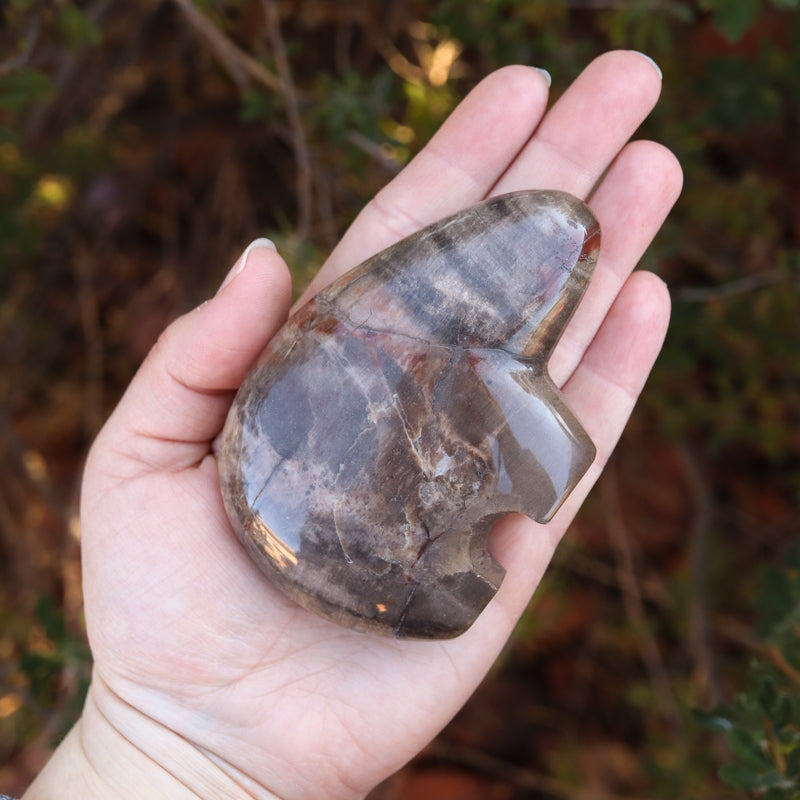 Capricorn Sign Bundle