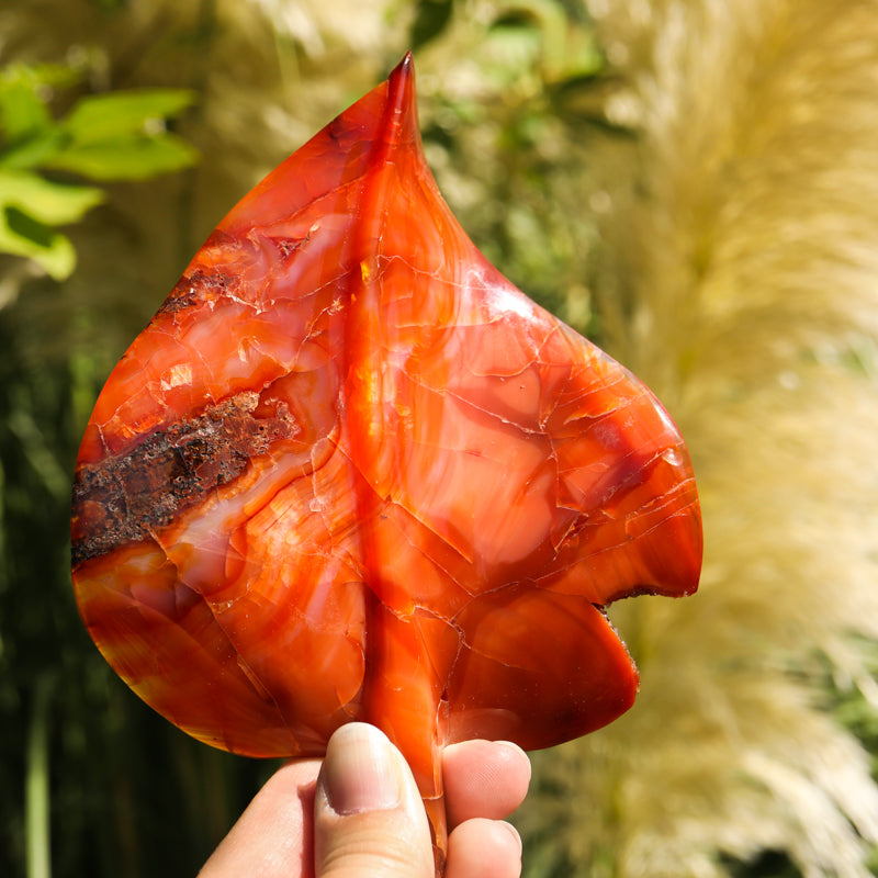 Carnelian Leaf Crystal Carvings Aries