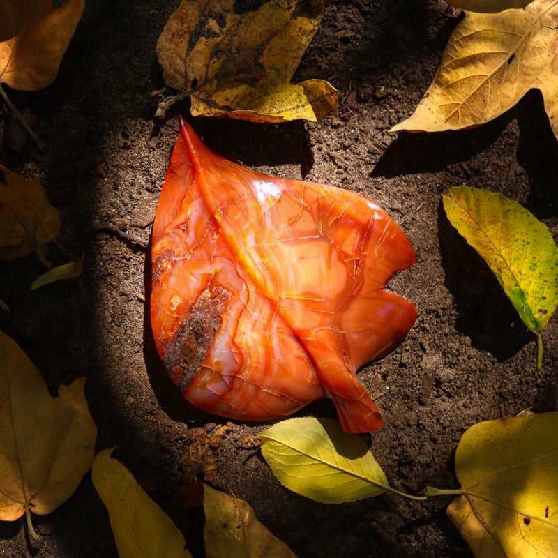 Carnelian Leaf Crystal Carvings Aries