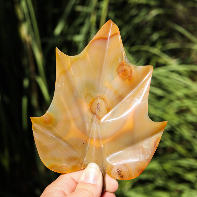 Carnelian Leaf Crystal Carvings Aries