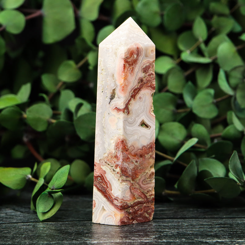 Red Crazy Lace Agate Point