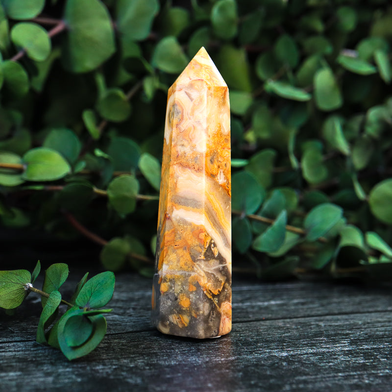 Crazy Lace Agate Point