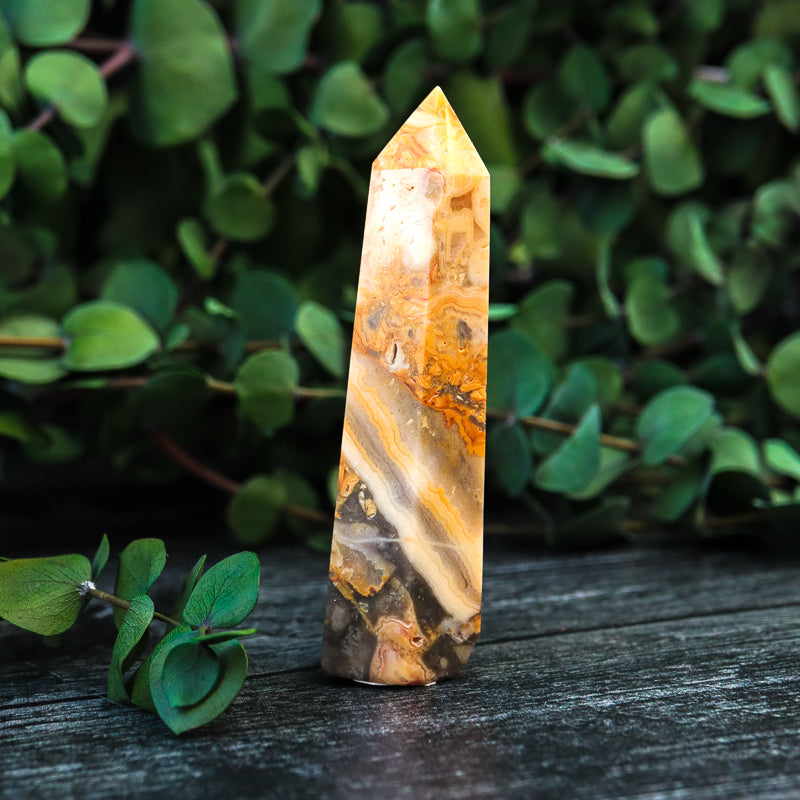 Crazy Lace Agate Point