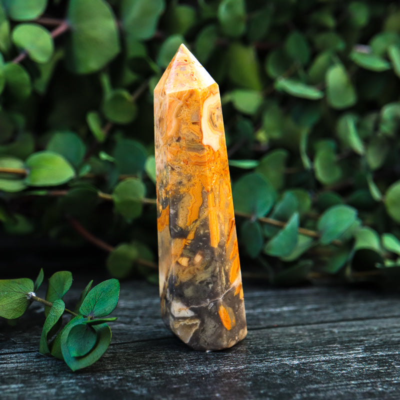 Crazy Lace Agate Point