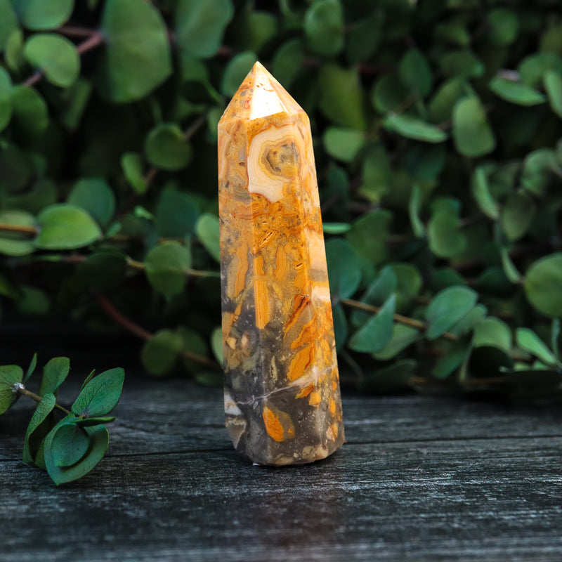 Crazy Lace Agate Point