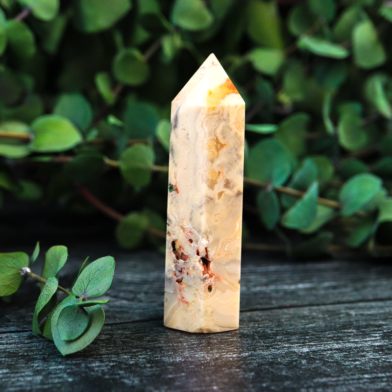 Crazy Lace Agate Point