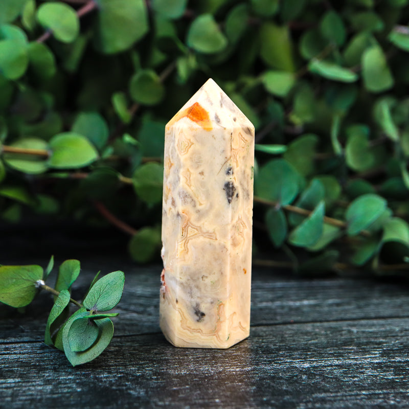 Crazy Lace Agate Point