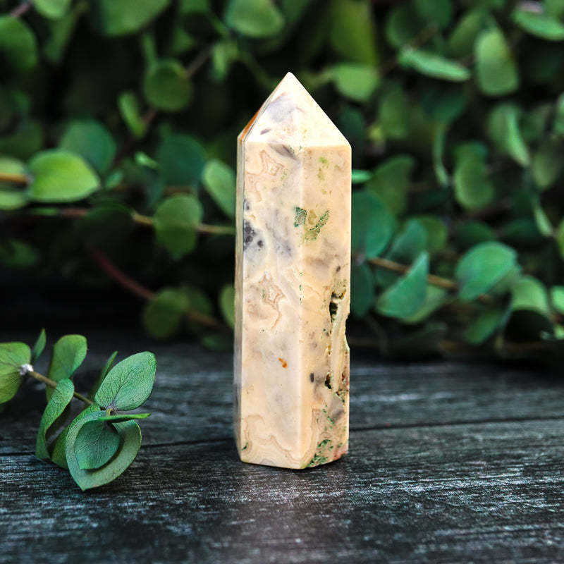 Crazy Lace Agate Point