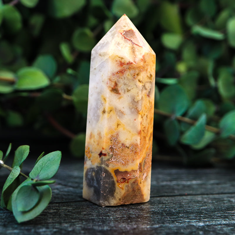 Crazy Lace Agate Point