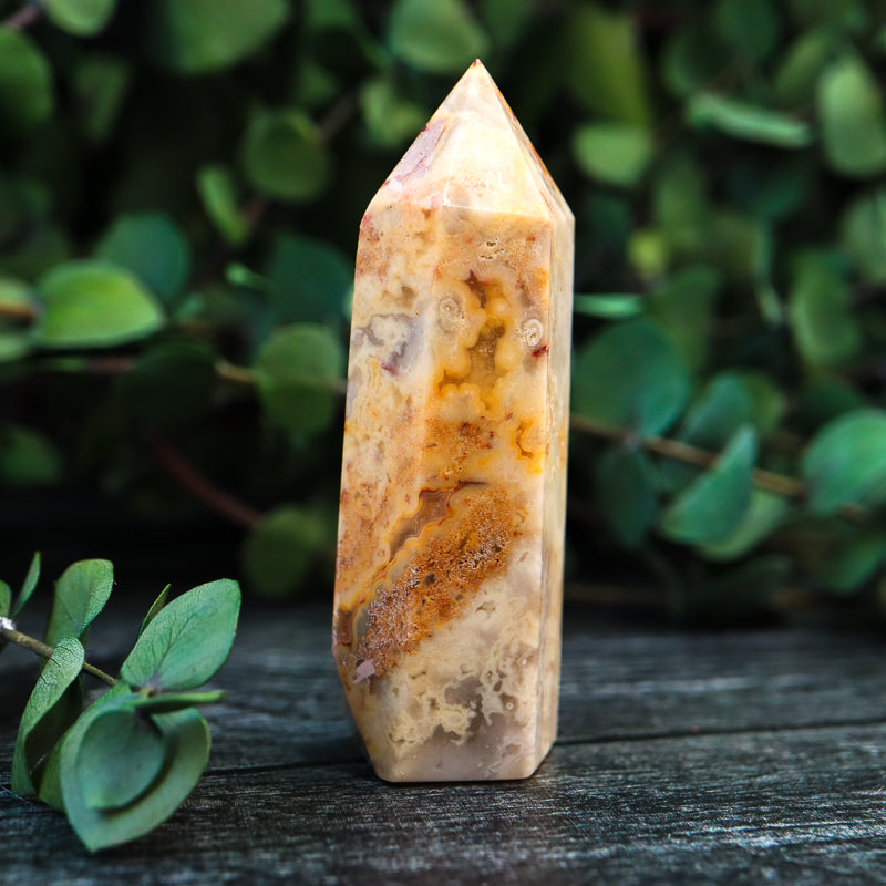 Crazy Lace Agate Point