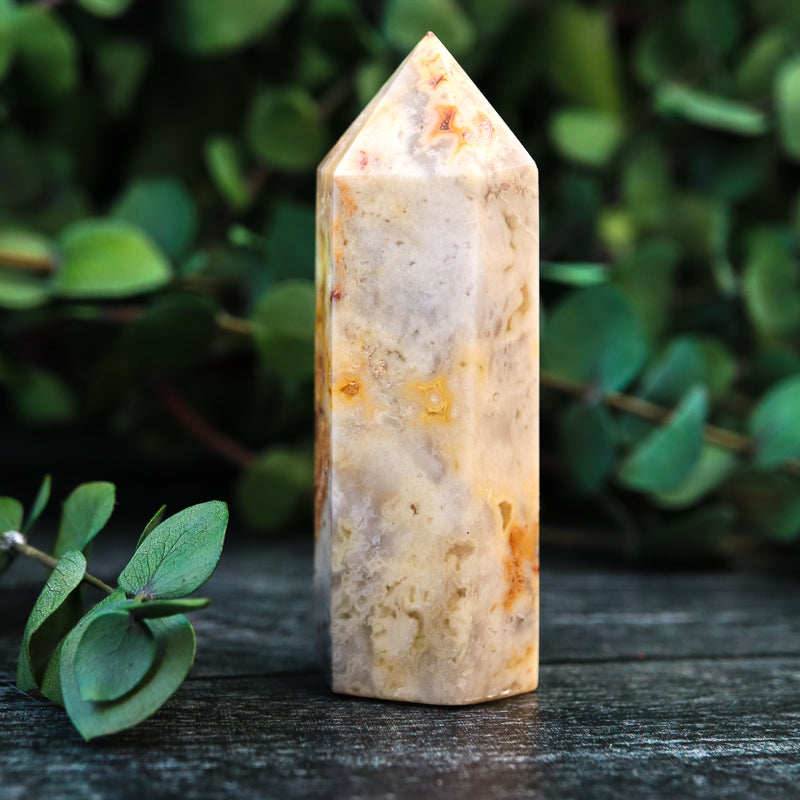 Crazy Lace Agate Point