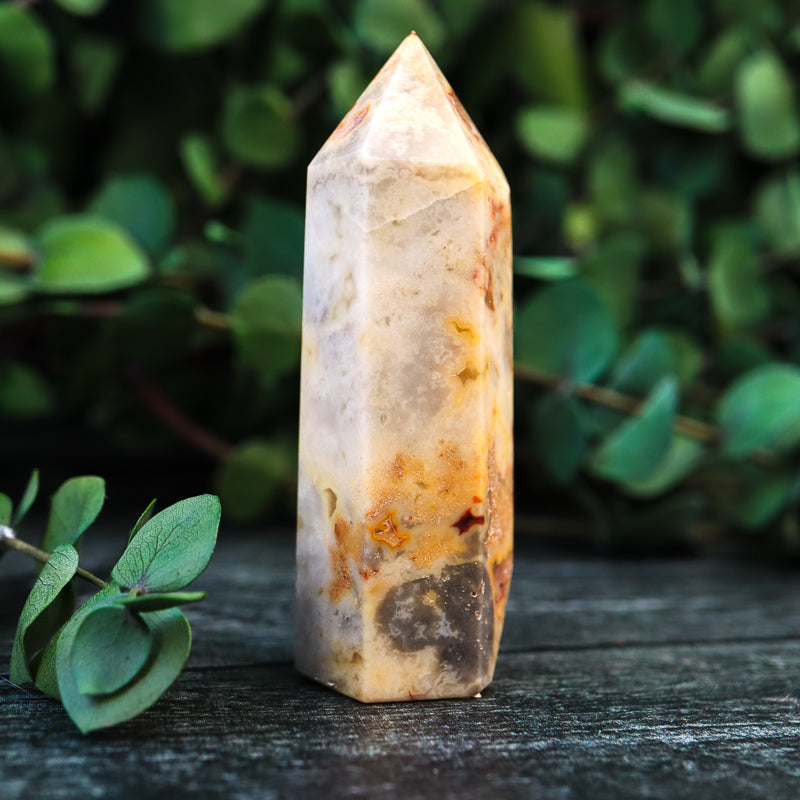 Crazy Lace Agate Point