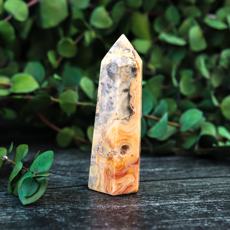 Crazy Lace Agate Point