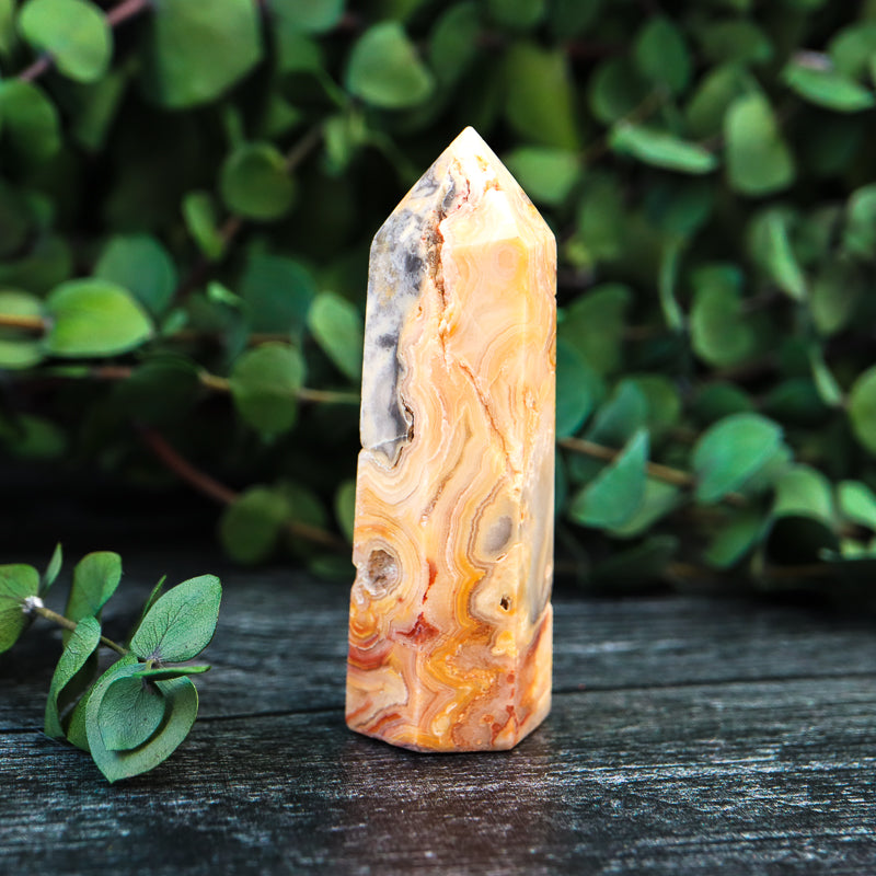 Crazy Lace Agate Point