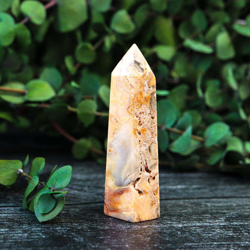 Crazy Lace Agate Point