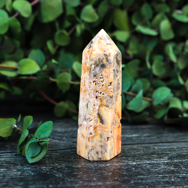 Crazy Lace Agate Point