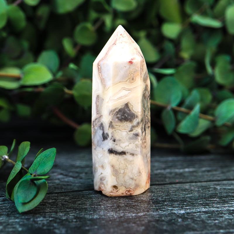 Crazy Lace Agate Point