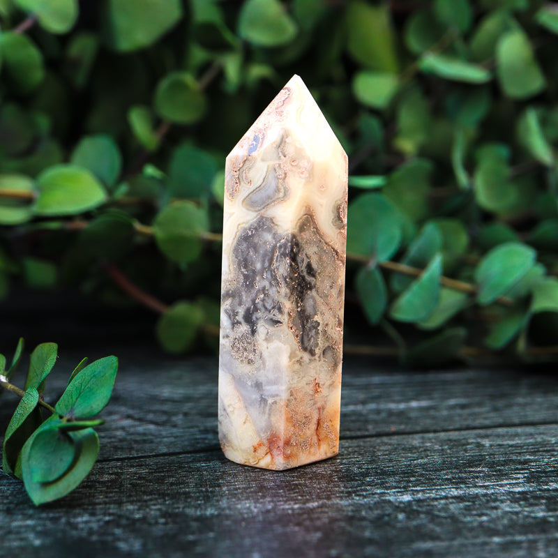 Crazy Lace Agate Point