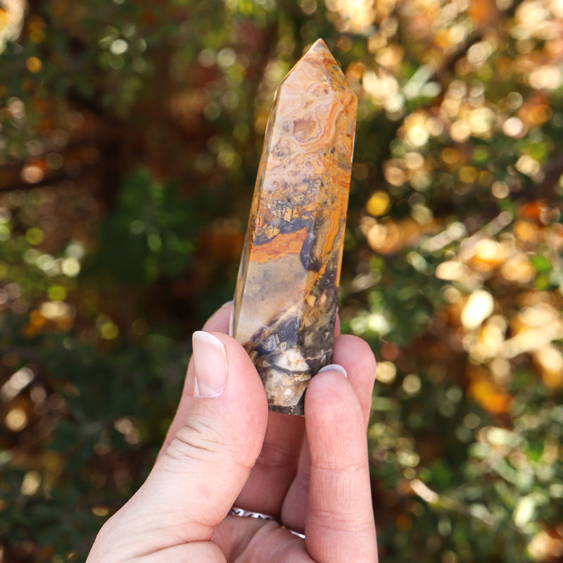 Crazy Lace Agate Point