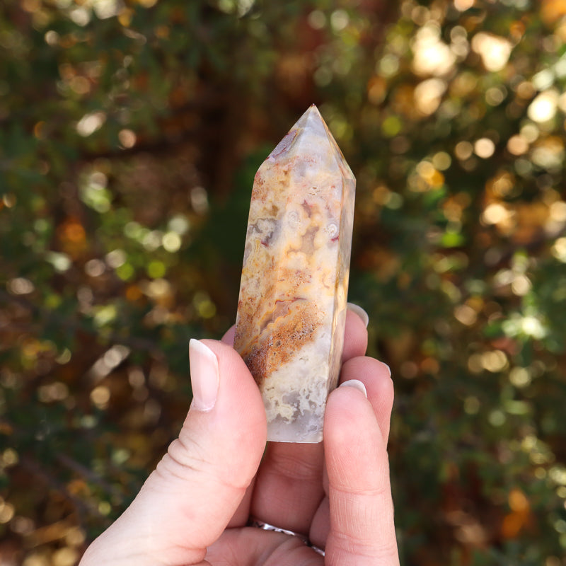 Crazy Lace Agate Point
