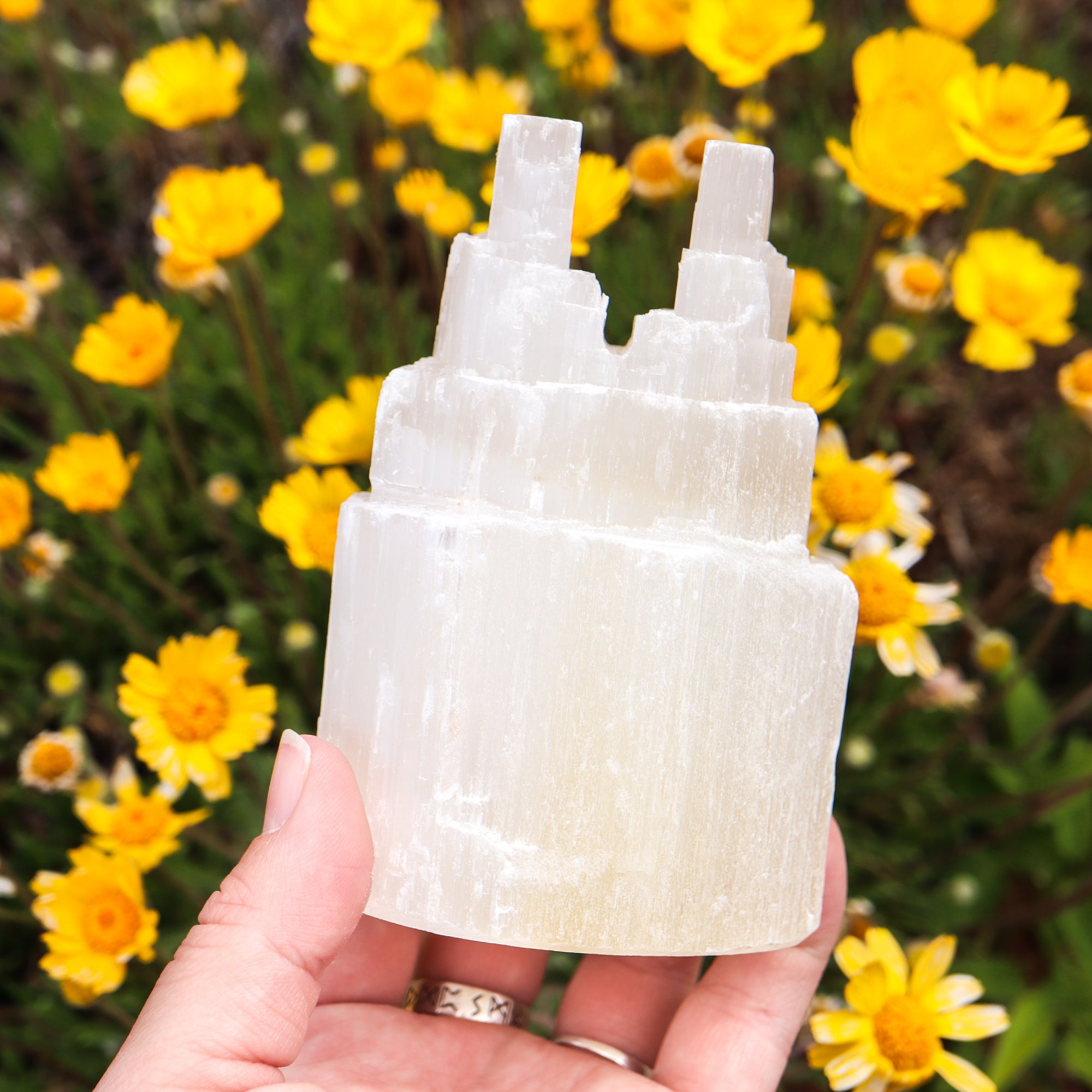 Raw Selenite Double-Tower Crystal Point Crystal Magic