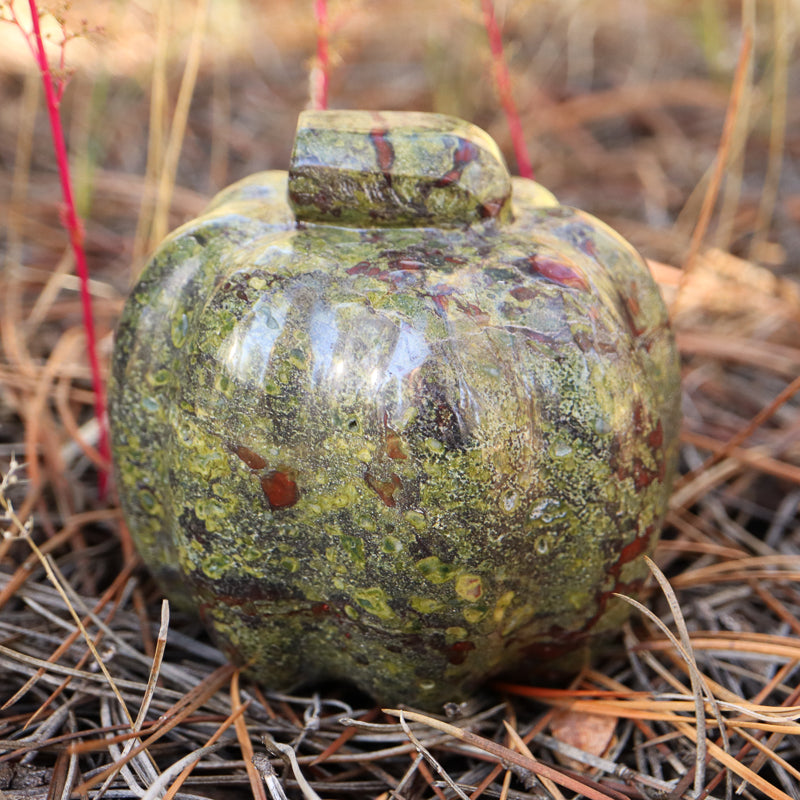Dragons Blood Jasper Pumpkin
