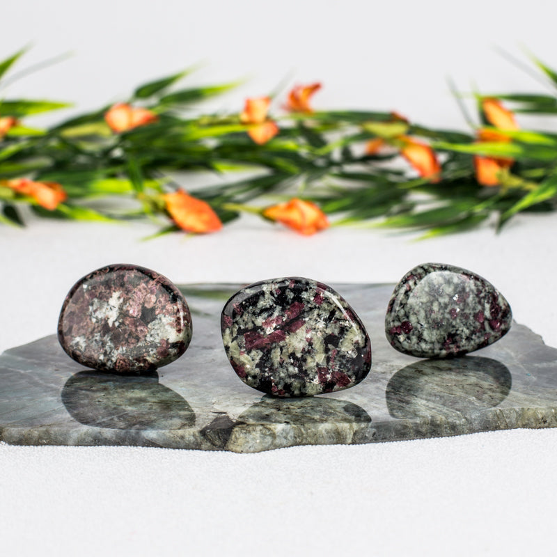 Eudialyte Palm Stone Crystal Palm Stones Aries
