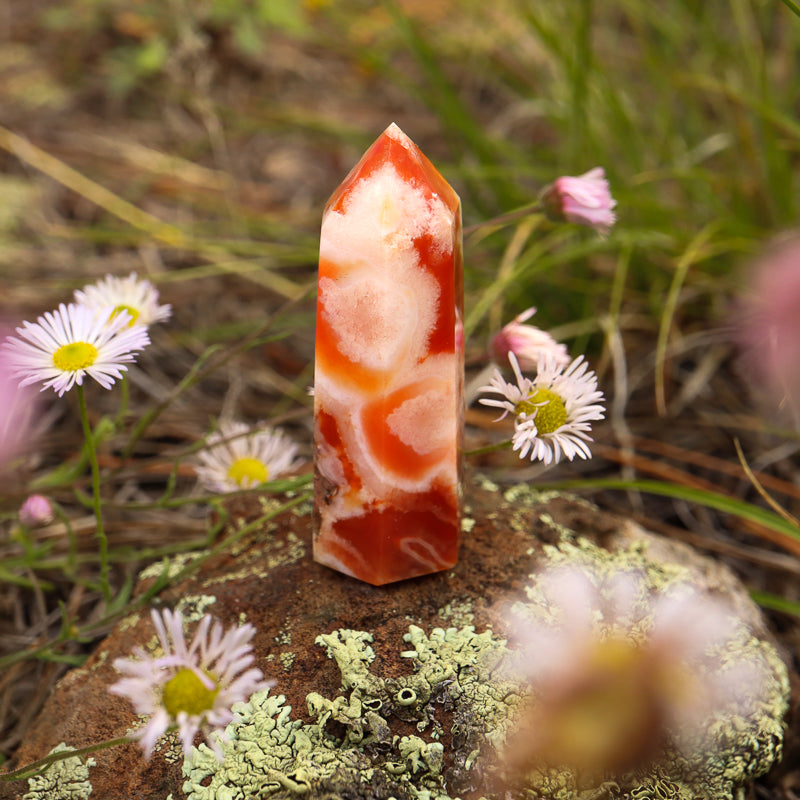 Red Flower Agate Point