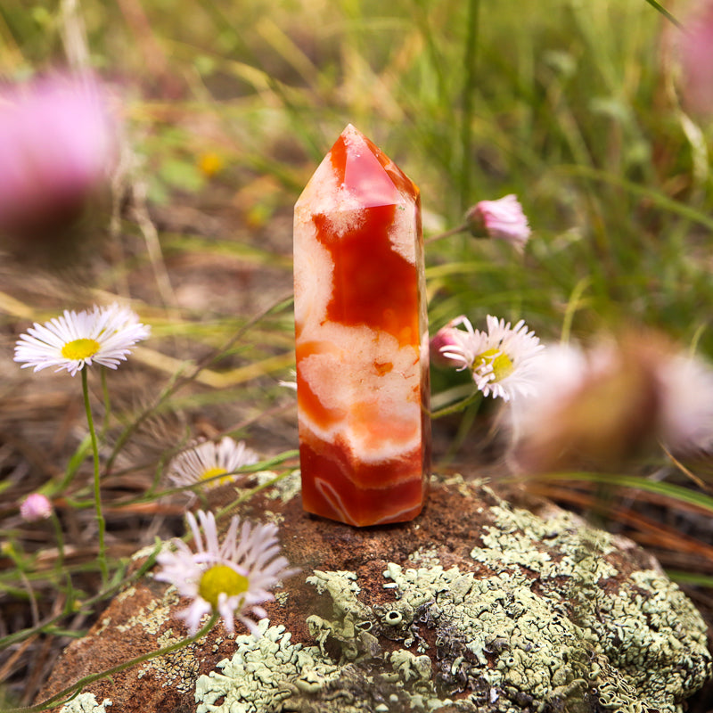 Red Flower Agate Point