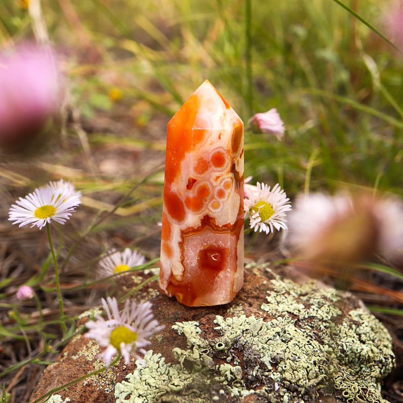 Red Flower Agate Point