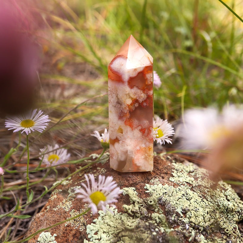 Red Flower Agate Point