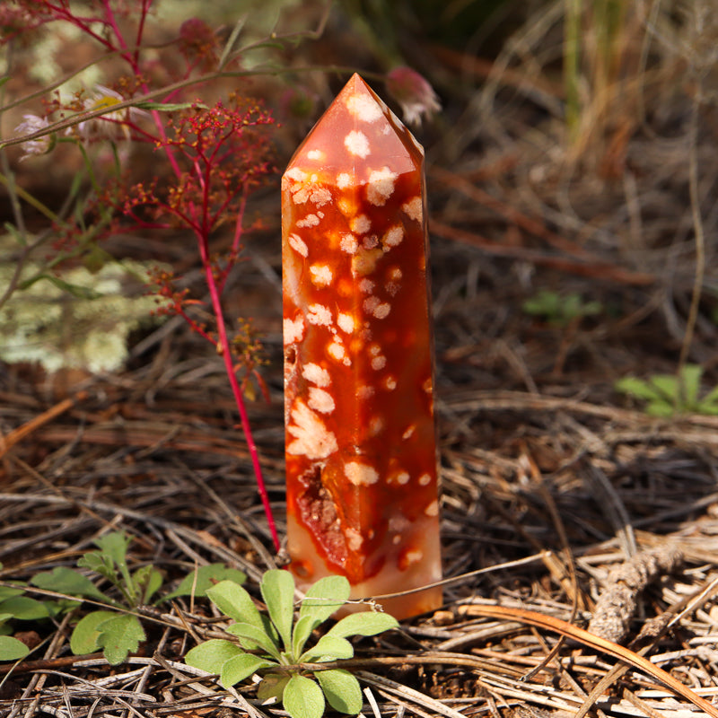 Red Flower Agate Point