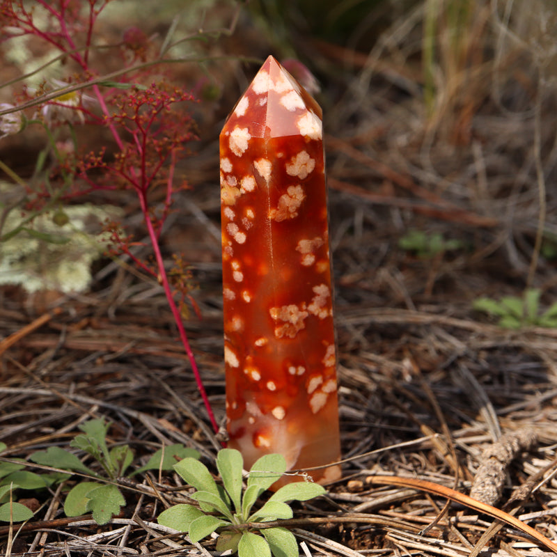 Red Flower Agate Point