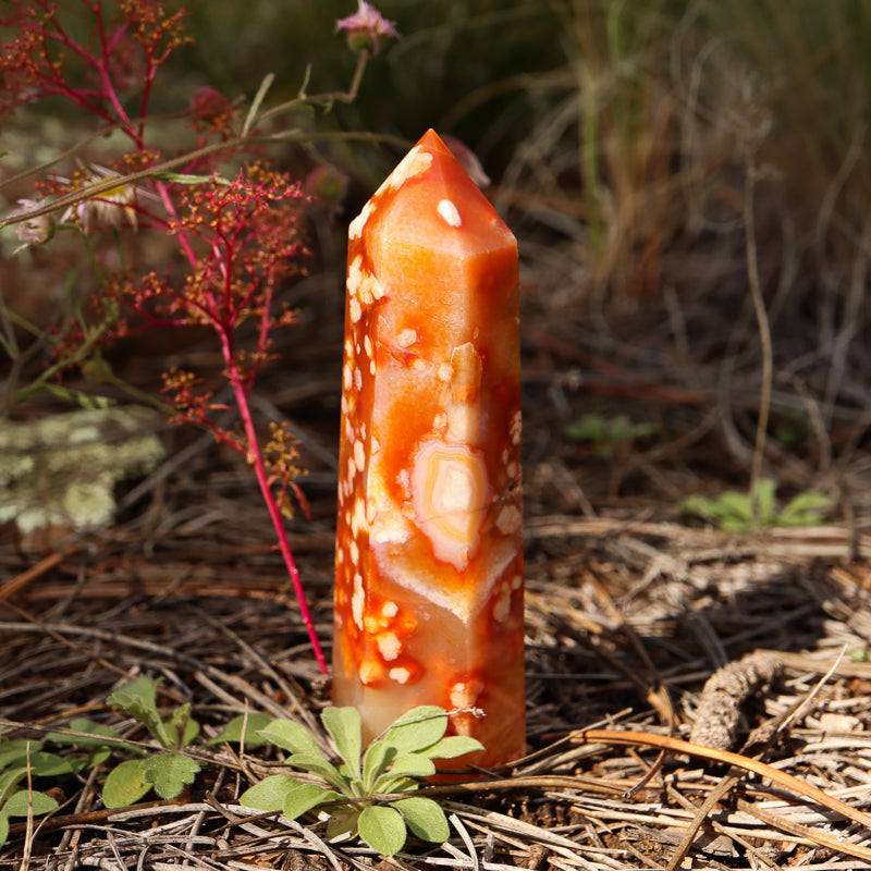 Red Flower Agate Point