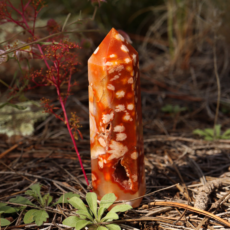 Red Flower Agate Point