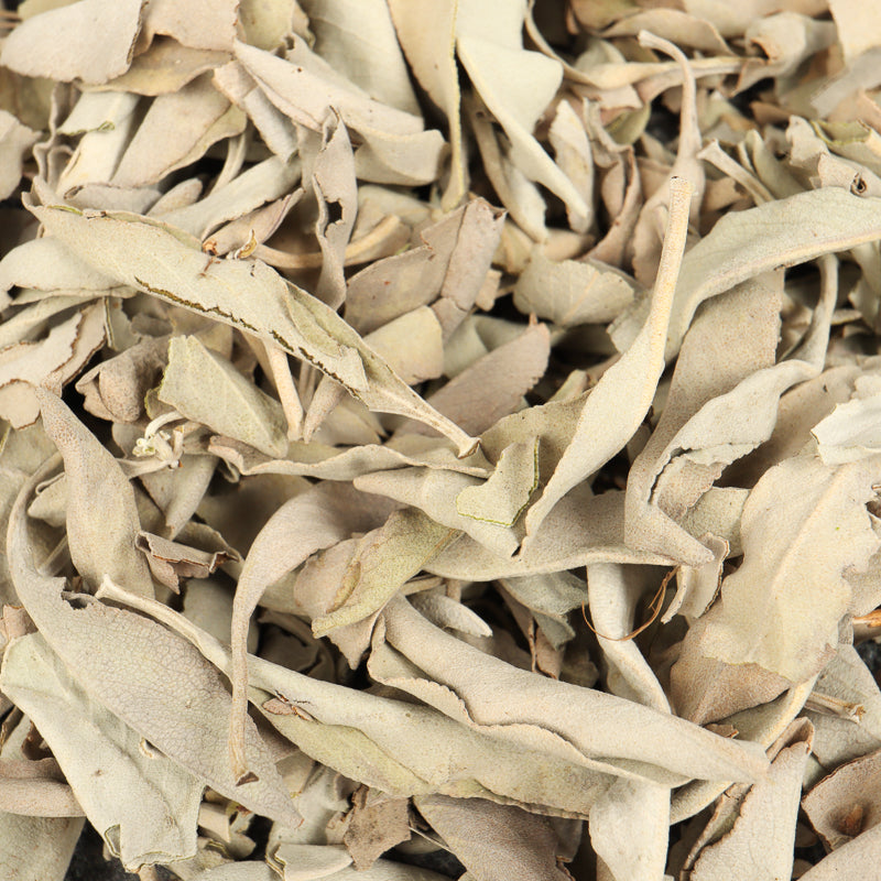 Loose White Sage