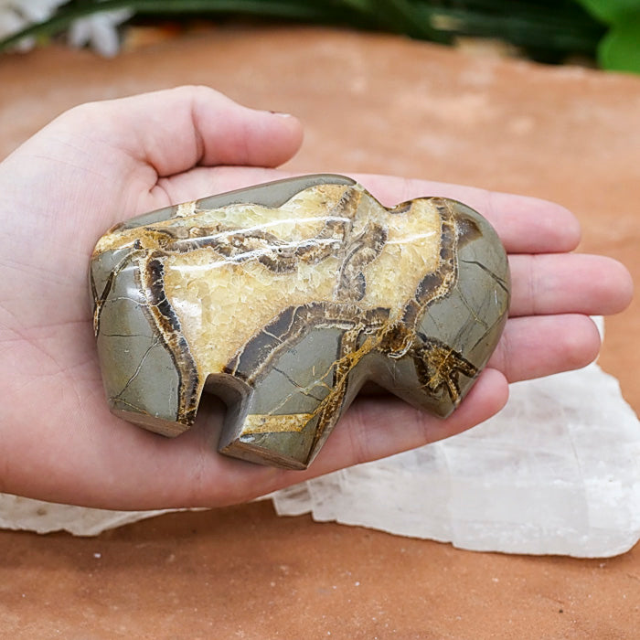 Septarian Buffalo Crystal Carvings Crystal Magic