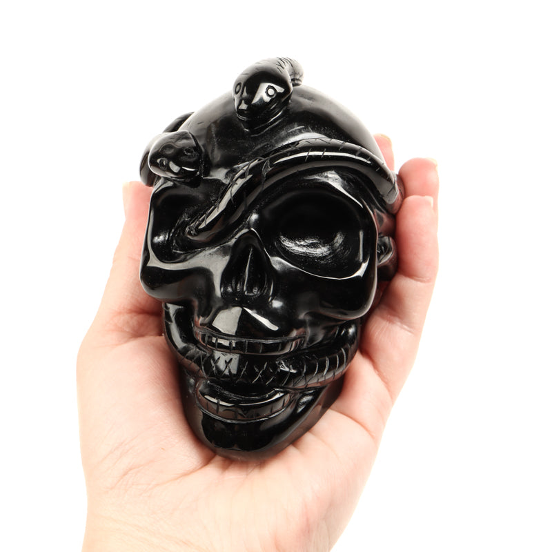 Obsidian Skull with Serpent Crystal Skull Crystal Magic