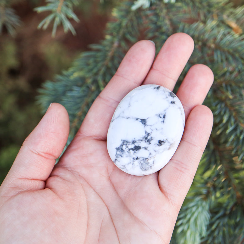 Howlite Palm Stone Crystal Palm Stones Crystal Magic