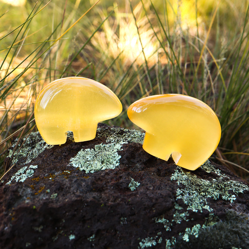 Honeycomb Calcite Carved Bear