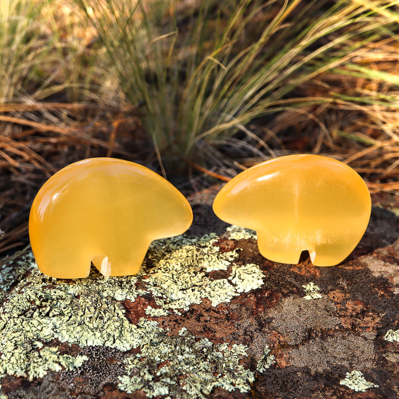 Honeycomb Calcite Carved Bear