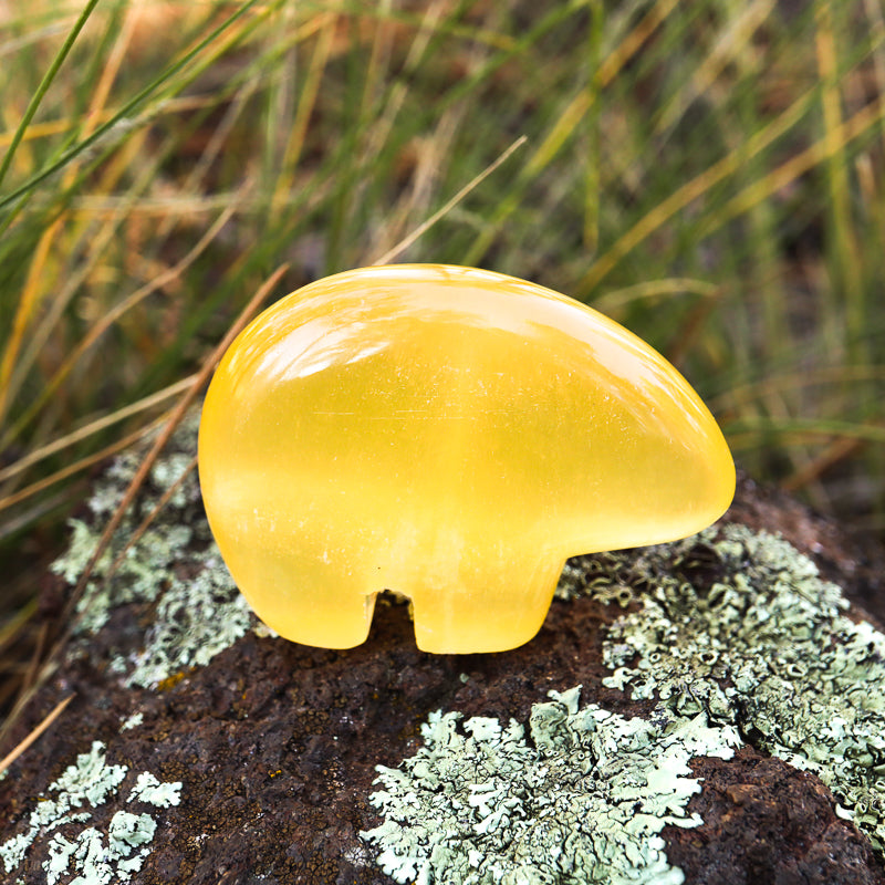 Honeycomb Calcite Carved Bear