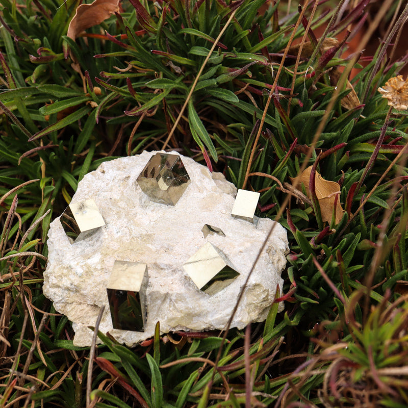 Natural Pyrite Cubes on Matrix Crystal Free Form Crystal Magic