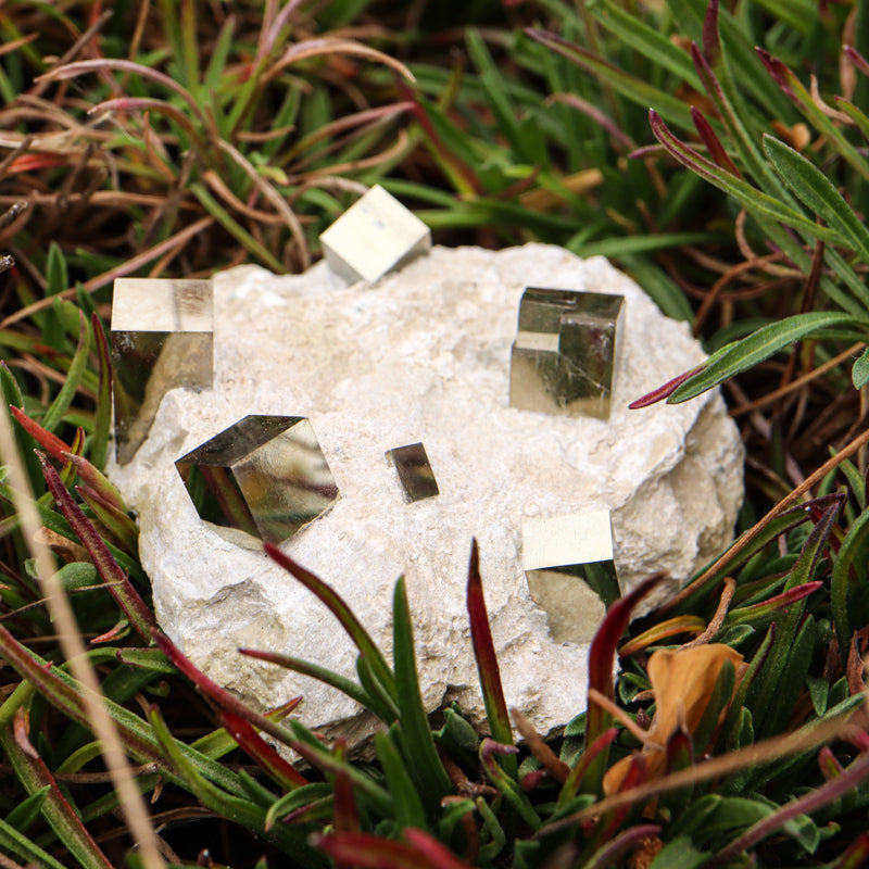 Natural Pyrite Cubes on Matrix Crystal Free Form Crystal Magic