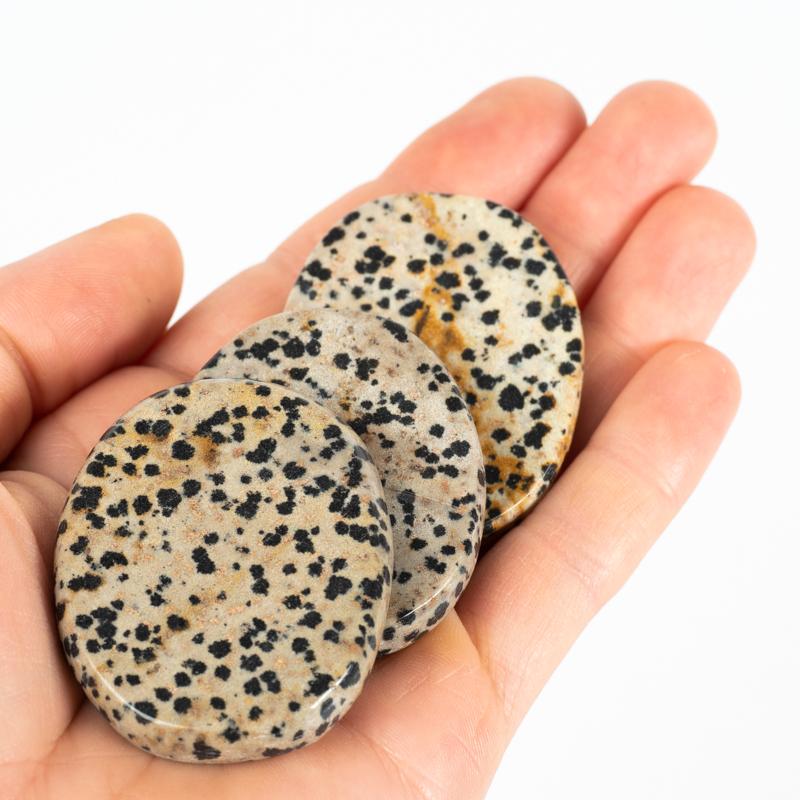 Dalmatian Jasper Palm Stone Crystal Palm Stones Crystal Magic